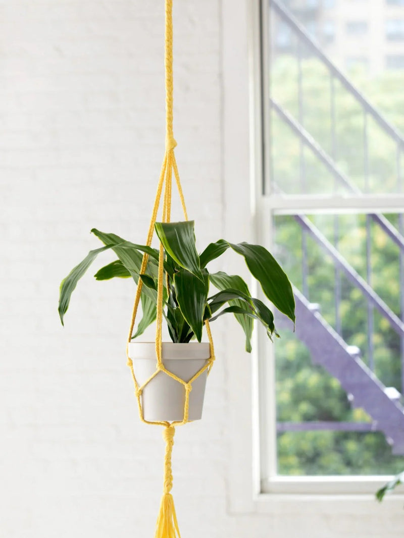 Simple Plant Hanger