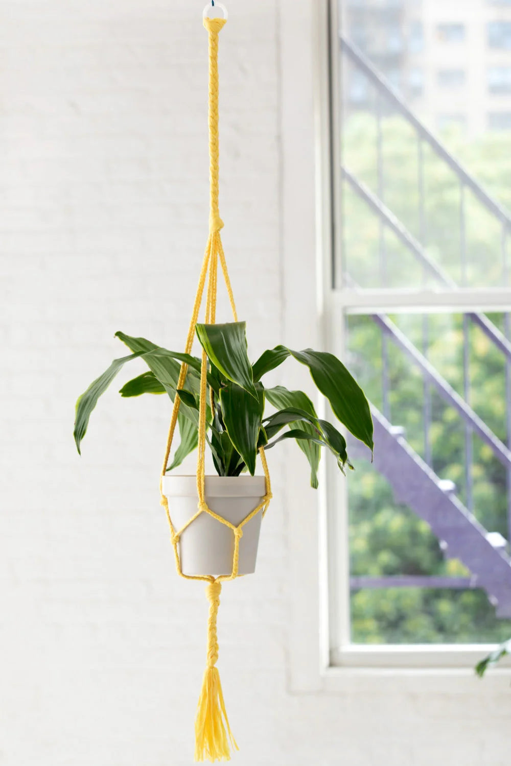 simple plant hanger Simple Plant Hanger – Wool and Company