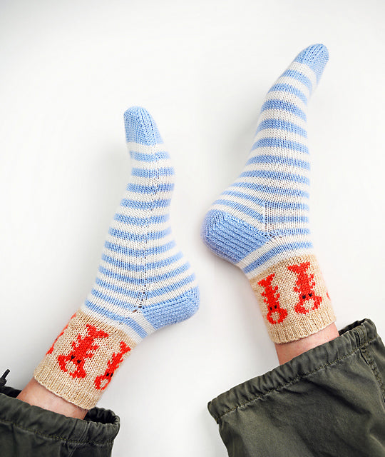 The Sock Obsession: Supercool Socks to Knit and Show Off by Summer Lee