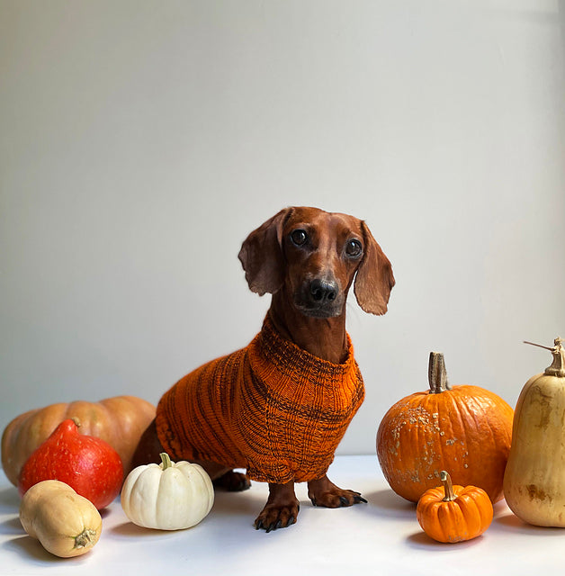 Canine Stripes Sweater by Nina Holubcova