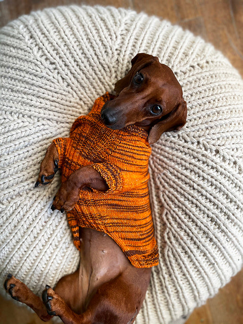 Canine Stripes Sweater by Nina Holubcova