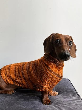 Canine Stripes Sweater by Nina Holubcova