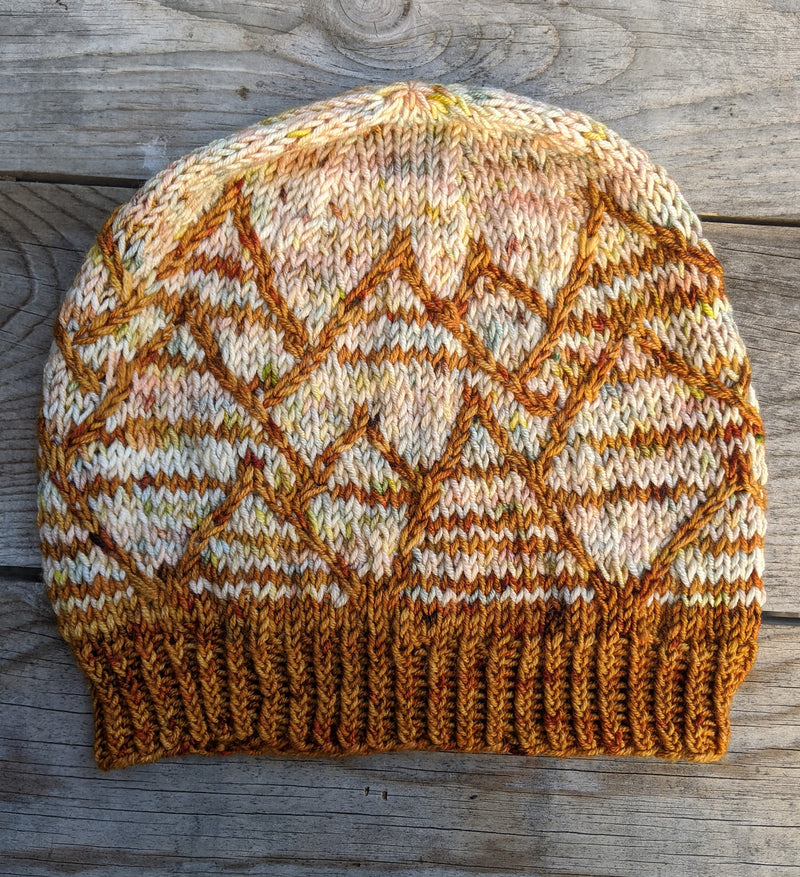 Knitting the National Parks by Nancy Bates