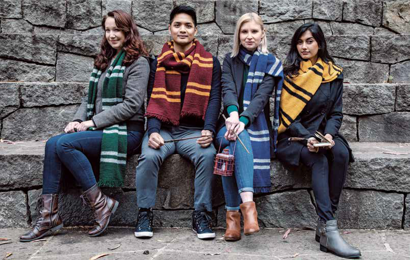 Harry Potter Knitting Magic by Tanis Gray