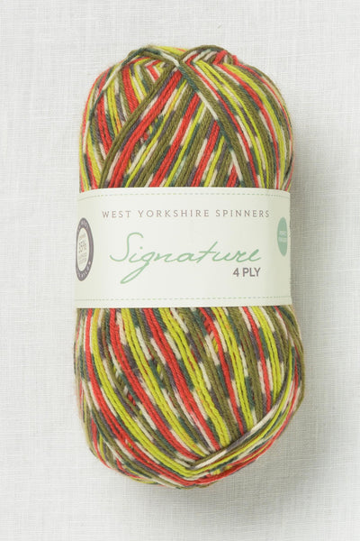 WYS Signature 4 Ply 1170 Green Woodpecker