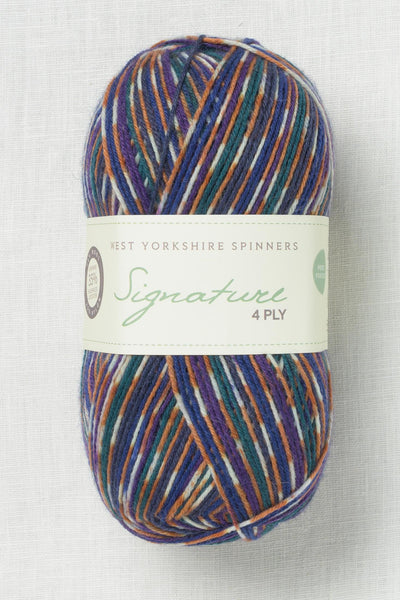 WYS Signature 4 Ply 1169 Starling