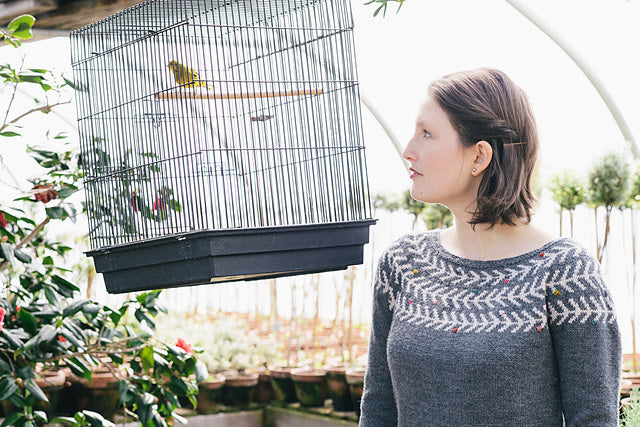 Branches & Buds Pullover