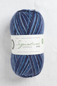 WYS Signature 4 Ply 906 Silent Night Sparkle