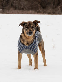 Bird Island Dog Sweater