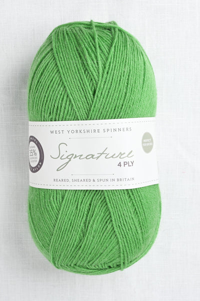 WYS Signature 4 Ply 395 Chocolate Lime