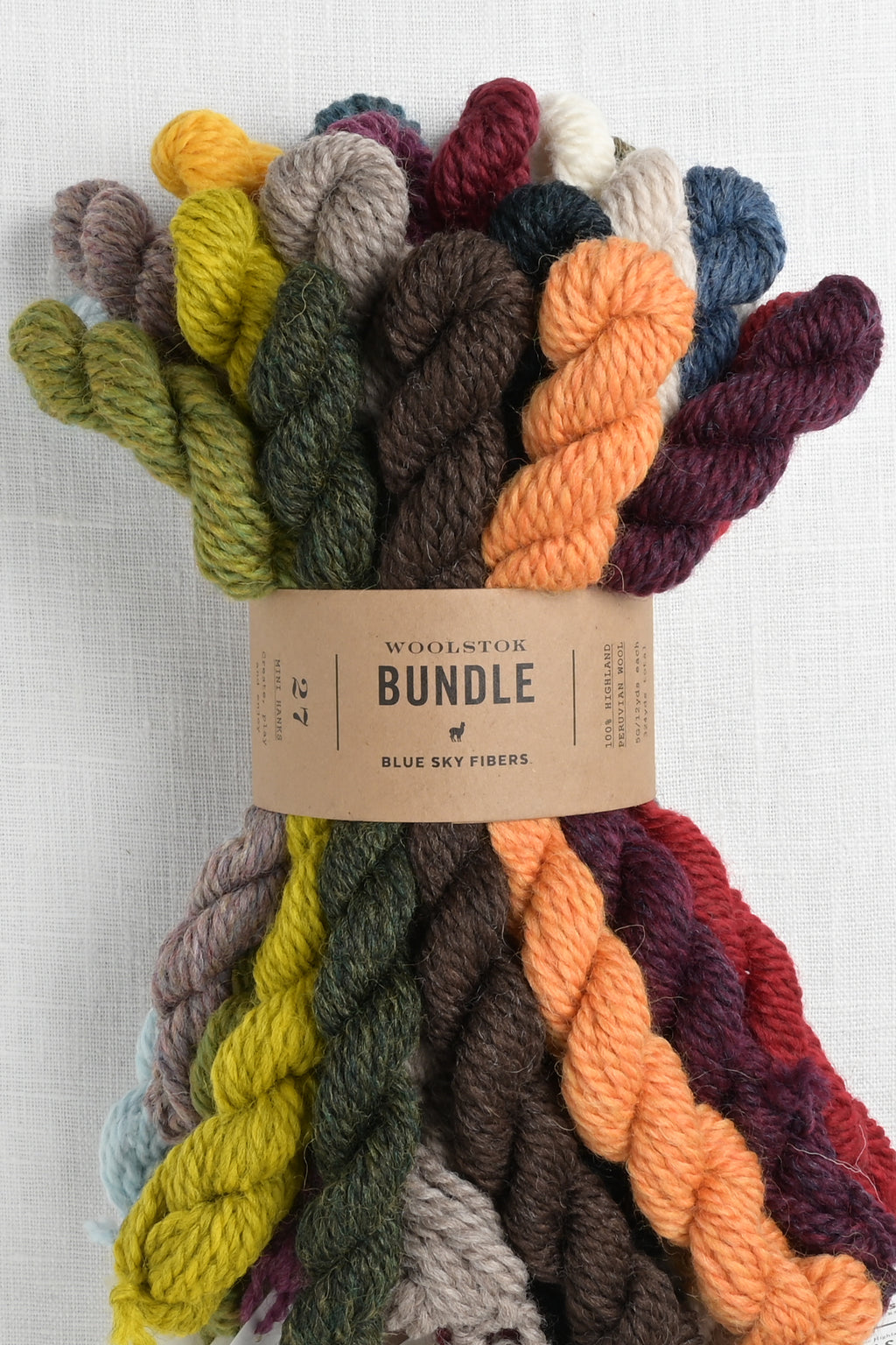 Blue Sky Fibers Woolstok Bundle 27 Color Bundle – Wool and Company