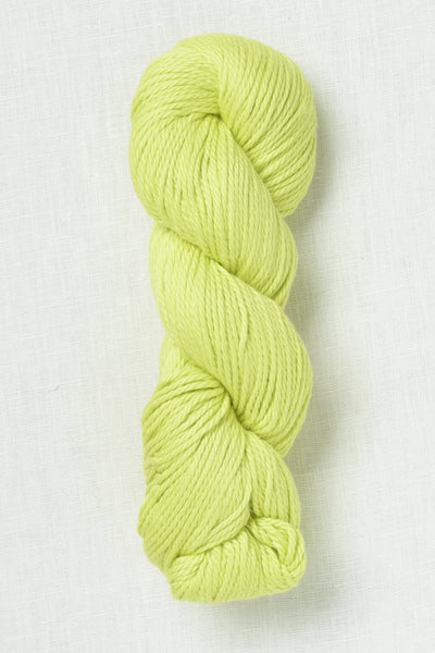 Amano Sami XL 2402 Phosphorus