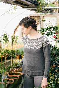 Branches & Buds Pullover