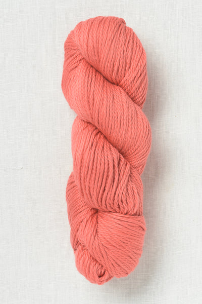 Amano Sami XL 2405 Coral