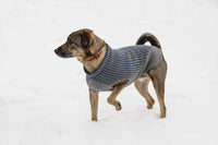 Bird Island Dog Sweater