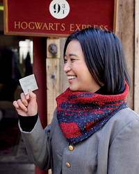 Harry Potter Knitting Magic: More Patterns from Hogwarts & Beyond by Tanis Gray