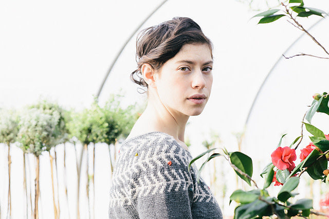 Branches & Buds Pullover