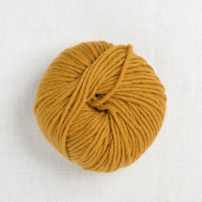 pascuali cashmere worsted 22 curry