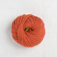 pascuali cashmere worsted 24 rust