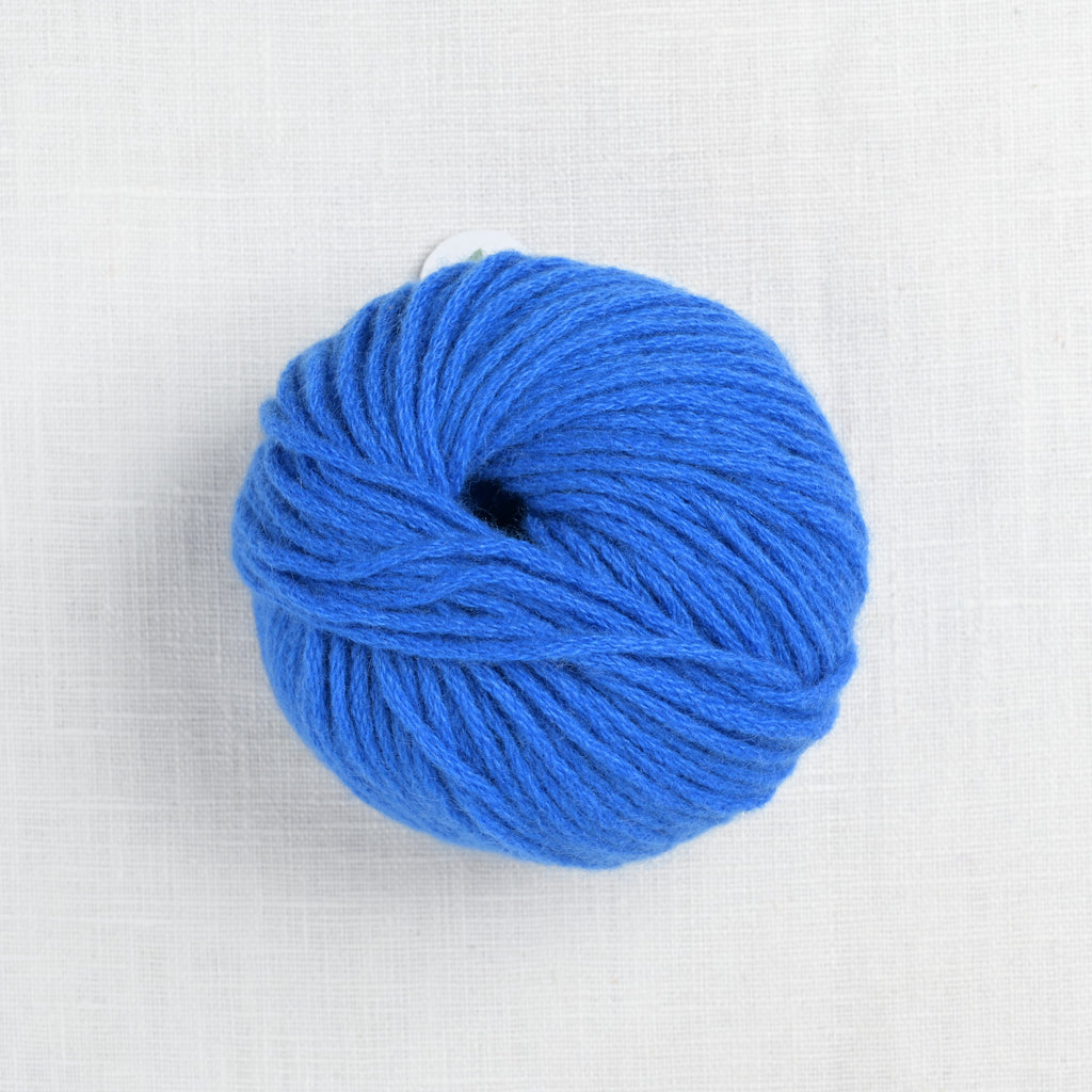 pascuali cashmere worsted 36 cobalt