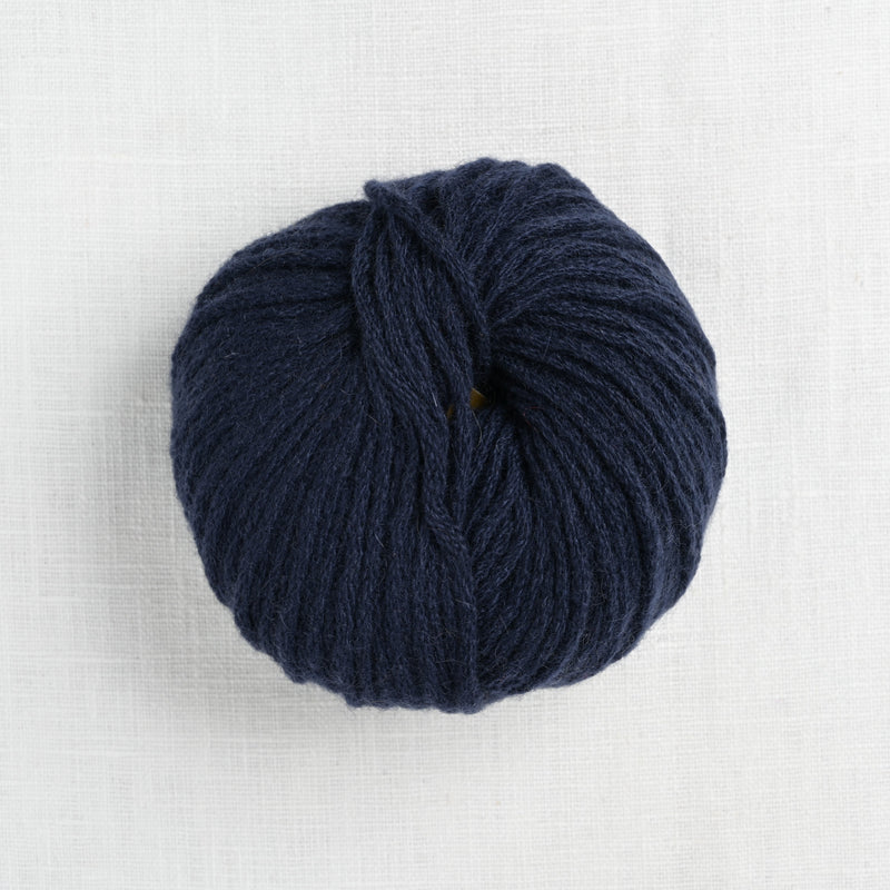 pascuali cashmere worsted 42 cosmos
