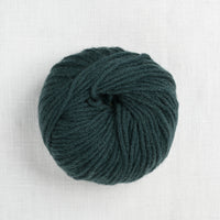 pascuali cashmere worsted 44 sea green