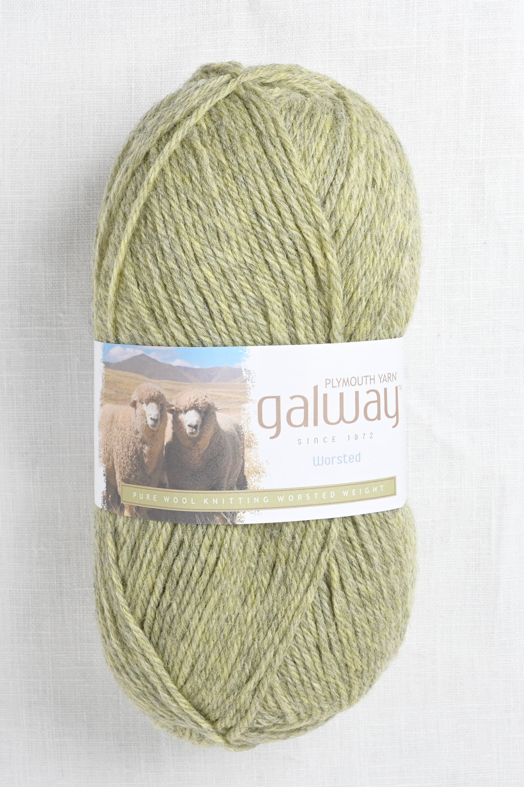 plymouth galway worsted 748 pistachio heather