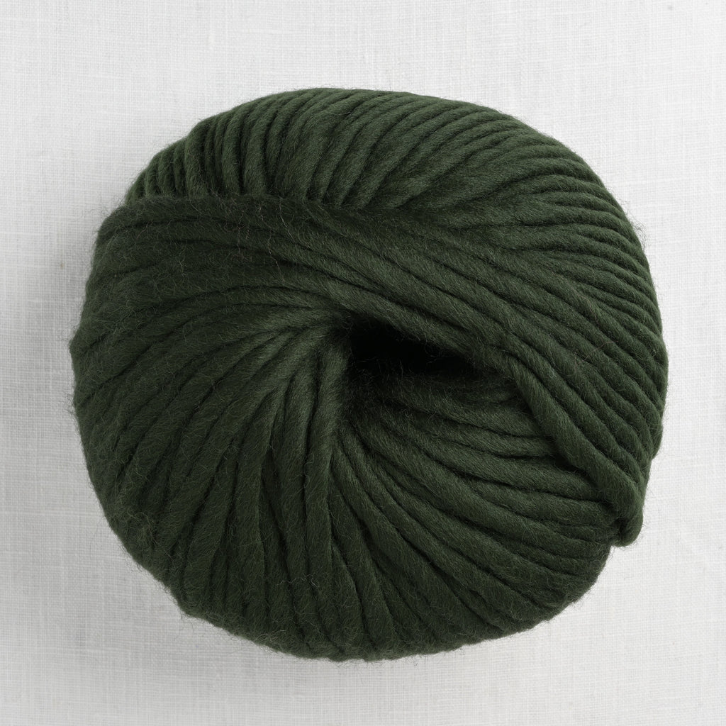 https://www.woolandcompany.com/cdn/shop/products/wool_and_the_gang_crazy_sexy_wool_290_heritage_green_1024x.JPG?v=1685477615