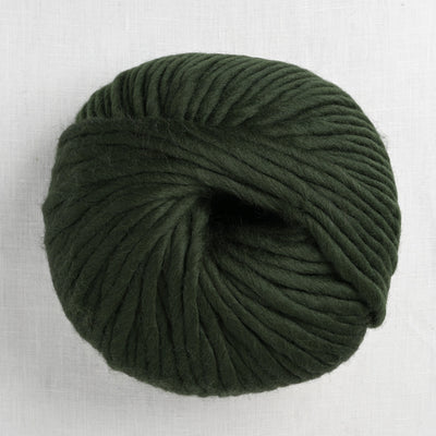 wool and the gang crazy sexy wool 290 heritage green